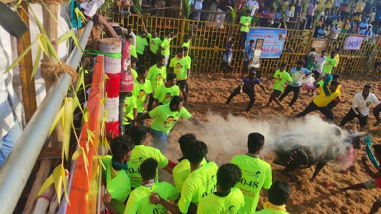 Jallikattu 300 cowherds participated in the Salem Nilavaarpatti jallikattu competition and tamed the raging bulls - TNN சேலம் நிலவாரப்பட்டி ஜல்லிக்கட்டு;  சீறிப்பாய்ந்த காளைகளை அடக்கிய மாடுபிடி வீரர்கள்