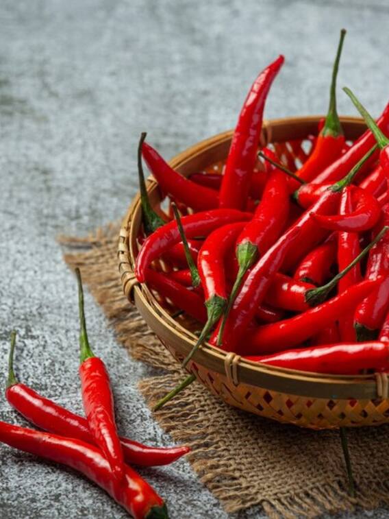 मिर्च की खेती से बने मालामाल, जानें कैसे