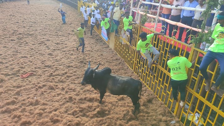 முன்னதாக ஜல்லிக்கட்டு போட்டியில் அரசு விதிமுறைகள் குறித்து பின்பற்ற வேண்டிய உறுதிமொழியினை ஆர்டிஓ வாசிக்க மாடுபிடி வீரர்கள் அனைவரும் உறுதிமொழி ஏற்றுக்கொண்டனர்.