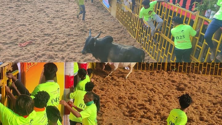 Salem Jallikattu : மாடுபிடி வீரர்கள் யாரேனும் காயமடைந்தால் உடனடியாக சிகிச்சை அளிக்க ஏதுவாக சுகாதார துறையினரும் தயார் நிலையில் உள்ளனர்.