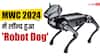 Tecno ने लॉन्च किया रोबोट वाला कुत्ता, कैमरा और दूरबीन के साथ असली डॉग की तरह करता है सारे काम