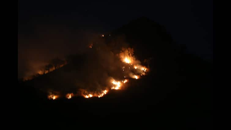 Rajasthan Udaipur Aravalli hills Fire bath started belief and reason for setting fire ann Rajasthan: गर्मियों के साथ शुरू होती है अरावली की पहाड़ियों में 'अग्नि स्नान', जानें इसके पीछे की मान्यता