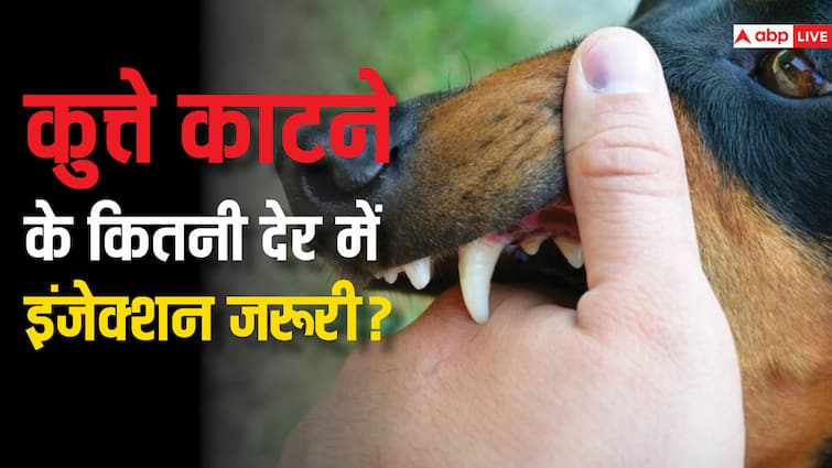 कुत्ते काटने के कितनी देर में इंजेक्शन लगवा लेना चाहिए, इन लक्षणों से पहचानें कुत्ते को रेबीज या नहीं? How to Tell if Your Dog Has Rabies Warning Signs and More कुत्ते काटने के कितनी देर में इंजेक्शन लगवा लेना चाहिए, इन लक्षणों से पहचानें कुत्ते को रेबीज या नहीं?