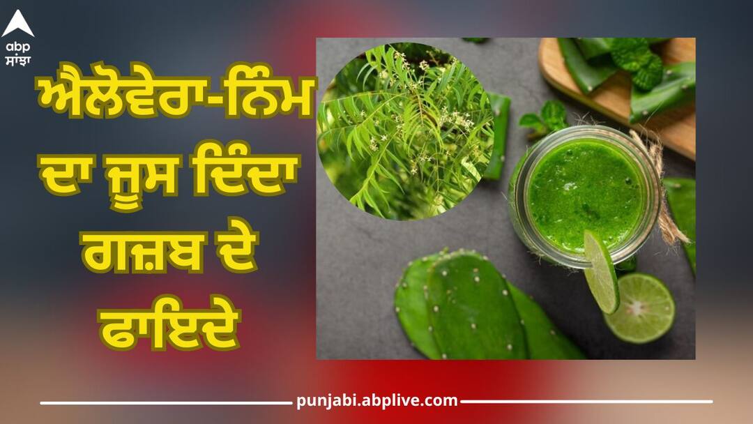 If you make aloe vera and neem juice and drink it, you will get amazing benefits Neem And Aloe Vera Juice: ਜੇਕਰ ਐਲੋਵੇਰਾ ਅਤੇ ਨਿੰਮ ਦਾ ਜੂਸ ਬਣਾ ਕੇ ਪੀਂਦੇ ਹੋ ਤਾਂ ਮਿਲਣਗੇ ਗਜ਼ਬ ਦੇ ਫਾਇਦੇ