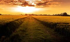 Agriculture: ਰਾਜਸਥਾਨ 'ਚ ਬੀਘਾ ਤੇ ਪੰਜਾਬ 'ਚ ਕਿੱਲਾ..., ਜਾਣੋ ਕਿਹੜੇ ਸੂਬੇ 'ਚ ਕਿਵੇਂ ਨਾਪੀ ਜਾਂਦੀ ਜਮੀਨ