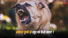 Dog Bite Cases: आवारा कुत्ते काटने आएं तो कैसे बच सकते हैं आप? ये तरीके आएंगे काम