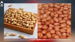 Health Tips: ਡਾਈਟ ਦੇ ਵਿੱਚ ਸ਼ਾਮਿਲ ਕਰੋ ਭਿੱਜੀ ਹੋਈ ਮੂੰਗਫਲੀ, ਮਿਲਣਗੇ ਗਜ਼ਬ ਦੇ ਫਾਇਦੇ