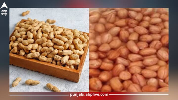 soaked peanuts: ਬਹੁਤ ਸਾਰੇ ਲੋਕ ਆਪਣੀ ਦਿਨ ਦੀ ਸ਼ੁਰੂਆਤ ਹੈਲਦੀ ਡ੍ਰਿੰਕ ਜਾਂ ਸੁੱਕੇ ਮੇਵਿਆਂ ਦੇ ਨਾਲ ਕਰਦੇ ਹਨ। ਜੇਕਰ ਤੁਸੀਂ ਦਿਨ ਦੀ ਸ਼ੁਰੂਆਤ ਭਿੱਜੀ ਮੂੰਗਫਲੀ ਨਾਲ ਕਰਦੇ ਹੋ ਤਾਂ ਇਸ ਨਾਲ ਸਰੀਰ ਕਈ ਫਾਇਦੇ ਮਿਲਦੇ ਹਨ।