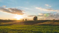 राजस्थान में बीघा तो पंजाब में किल्ल... जानिए किस राज्य में किस तरह से नापते हैं जमीन?
