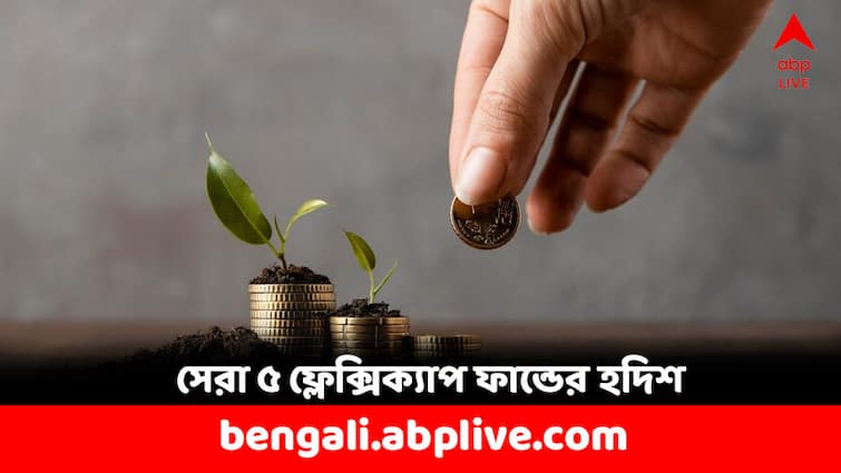 Mutual Fund Top 5 Flexi Cap Funds delivers 20 percent return annualised in 5 years Mutual Fund: এখানে টাকা রাখলে ২০ শতাংশ হারে রিটার্ন পেতেন, জানুন সেরা ৫ ফ্লেক্সিক্যাপ ফান্ডের হদিশ