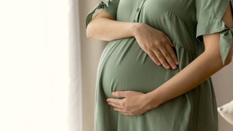 Uttarakhand Woman Cant Be Denied Govt Jobs Due To Pregnancy Rules Out High court 