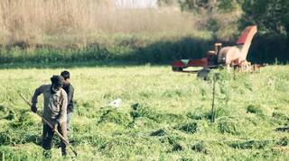 PM Kisan Yojana: ਭਲਕੇ ਕਿਸਾਨਾਂ ਦੇ ਖਾਤੇ ‘ਚ ਆਵੇਗਾ ਪੀਐਮ ਕਿਸਾਨ ਨਿਧੀ ਦਾ ਪੈਸਾ, ਜਾਣੋ ਕੀ ਹੈ ਤਾਜ਼ਾ ਅਪਡੇਟ