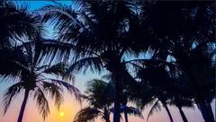 ਮਸ਼ੂਕ ਨਾਲ ਗੋਆ ਜਾਣ ਦਾ ਹੈ ਪਲਾਨ ਤਾਂ ਤੁਹਾਡੇ ਲਈ ਹੈ ਇਹ IRCTC ਦਾ ਪੈਕੇਜ