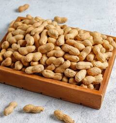 Health Tips: ਡਾਈਟ ਦੇ ਵਿੱਚ ਸ਼ਾਮਿਲ ਕਰੋ ਭਿੱਜੀ ਹੋਈ ਮੂੰਗਫਲੀ, ਮਿਲਣਗੇ ਗਜ਼ਬ ਦੇ ਫਾਇਦੇ