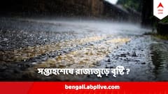 কাল থেকে রোদ উঠলেও সপ্তাহশেষে রাজ্যজুড়ে ঝড়বৃষ্টি, কবে-কোথায় জানাল আবহাওয়া দফতর