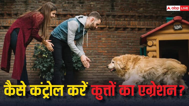 pets care tips know can dog aggression be controlled with help of any medicine क्या किसी दवा की मदद से भी कुत्तों के एग्रेशन को काबू किया जा सकता है