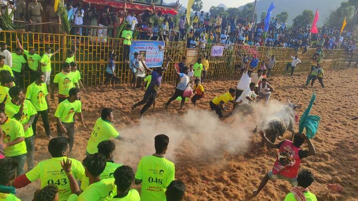 சேலம் மாவட்டம் பனமரத்துப்பட்டி ஊராட்சி ஒன்றியத்திற்கு உட்பட்ட நிலவாரப்பட்டியில் ஜல்லிக்கட்டு போட்டி இன்று காலை துவங்கி விறுவிறுப்பாக நடைபெற்று வருகிறது. இதில் பல்வேறு ஊர்களில் இருந்து 600 காளைகளும், 300 மாடுபிடி வீரர்களும் பங்கேற்றுள்ளனர்.