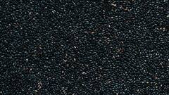 Black Sesame Benefit : काळ्या तिळाचे हे फायदे तुम्हाला माहीत आहेत का ?