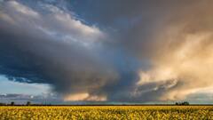 West Bengal Weather Update : নিমেষেই আকাশ হবে কালো, তারপর নামবে ঝমঝমিয়ে, বুধের সকাল এই জেলাগুলিতে দুর্যোগের পূর্বাভাস