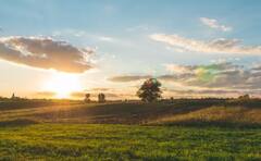 Agriculture: ਰਾਜਸਥਾਨ 'ਚ ਬੀਘਾ ਤੇ ਪੰਜਾਬ 'ਚ ਕਿੱਲਾ..., ਜਾਣੋ ਕਿਹੜੇ ਸੂਬੇ 'ਚ ਕਿਵੇਂ ਨਾਪੀ ਜਾਂਦੀ ਜਮੀਨ