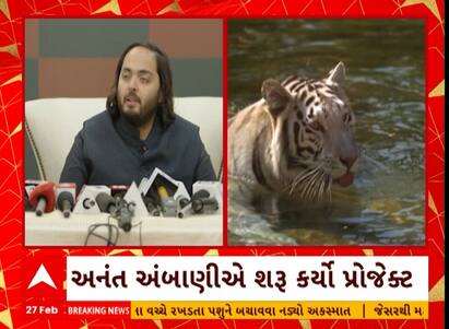 Vantara programme | અનંત અંબાણીએ શરૂ કર્યો વનતારા પ્રોજેક્ટ, સૌથી મોટું વન્યપ્રાણીઓનું રેસ્ક્યૂ સેન્ટર