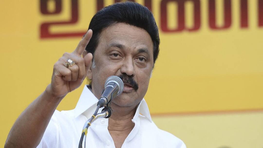 CM Stalin: DMK members are going to every house widely across Tamilnadu and explaining the achievements of the government CM Stalin: