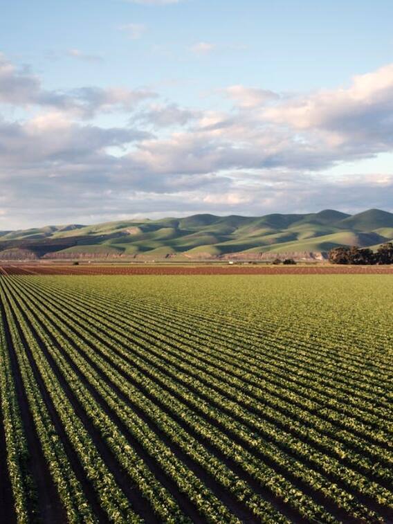 कैसे मिलेगा किसान योजना की 16वीं किस्त का पैसा?