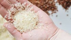 Benefits Of Rice: দুবেলা দুমুঠো থাকুক পাতে, মিলবে একাধিক উপকার