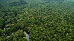 Google Maps: गूगल मैप का इस्तेमाल पड़ा भारी, जंगल में हफ्ते भर फंसे रहे टूरिस्ट, नदी में मगरमच्छ से भी हुआ सामना