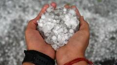 Weather Updates: बारिश से लौटेगी ठंड! यूपी-दिल्ली-राजस्थान में बरसेंगे बादल, दक्षिण भारत में पारा 35 डिग्री के पार, जानें मौसम की ताजा अपडेट