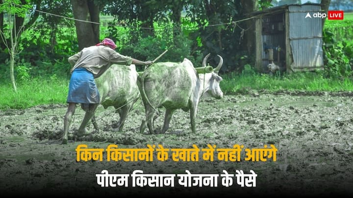 PM Kisan Yojana: पीएम किसान योजना के तहत देशभर के करोड़ों किसानों को हर साल 6 हजार रुपये की आर्थिक मदद दी जाती है, ये पैसा तीन किस्तों में जारी होता है.