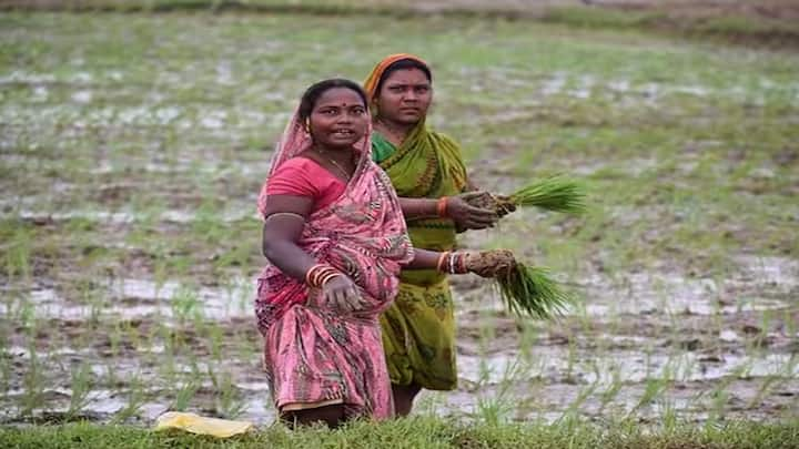 PM Kisan Yojana: PM કિસાન યોજના હેઠળ દેશભરના કરોડો ખેડૂતોને દર વર્ષે 6,000 રૂપિયાની આર્થિક સહાય આપવામાં આવે છે, આ નાણાં ત્રણ હપ્તામાં બહાર પાડવામાં આવે છે.