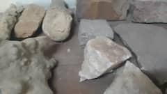 Rajasthan News: जोधपुर में है पत्थरों का अनूठा म्यूजियम, चट्टानों और खनिज के सेंपल हैं मौजूद, देखें तस्वीरें