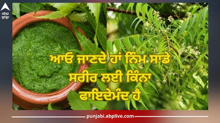 benefits of neem leaves ayurvedic medicine health news trending news Neem leaves: ਨਿੰਮ ਦੀਆਂ ਪੱਤੀਆਂ ਚਬਾਉਣ ਨਾਲ ਦੂਰ ਹੁੰਦੀਆਂ ਕਈ ਬਿਮਾਰੀਆਂ, ਜਾਣੋ ਸਹੀ ਸਮੇਂ ਅਤੇ ਖਾਣ ਦਾ ਸਹੀ ਤਰੀਕਾ