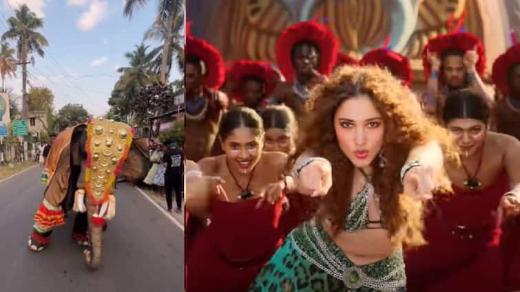 Elephant dance in  Tamannaah Bhatia’s Kaavaalaa Song Watch Video Watch Video: தமன்னாவை விடுங்க.. யானையை பாருங்க.. “காவாலா” பாட்டுக்கு அசத்தல் நடனம்!