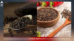 Black Pepper side effects: ਭੋਜਨ 'ਚ ਲੋੜ ਅਨੁਸਾਰ ਕਾਲੀ ਮਿਰਚ ਨੂੰ ਕਰੋ ਸ਼ਾਮਿਲ...ਨਹੀਂ ਤਾਂ ਹੋ ਸਕਦੇ ਇਹ ਨੁਕਸਾਨ