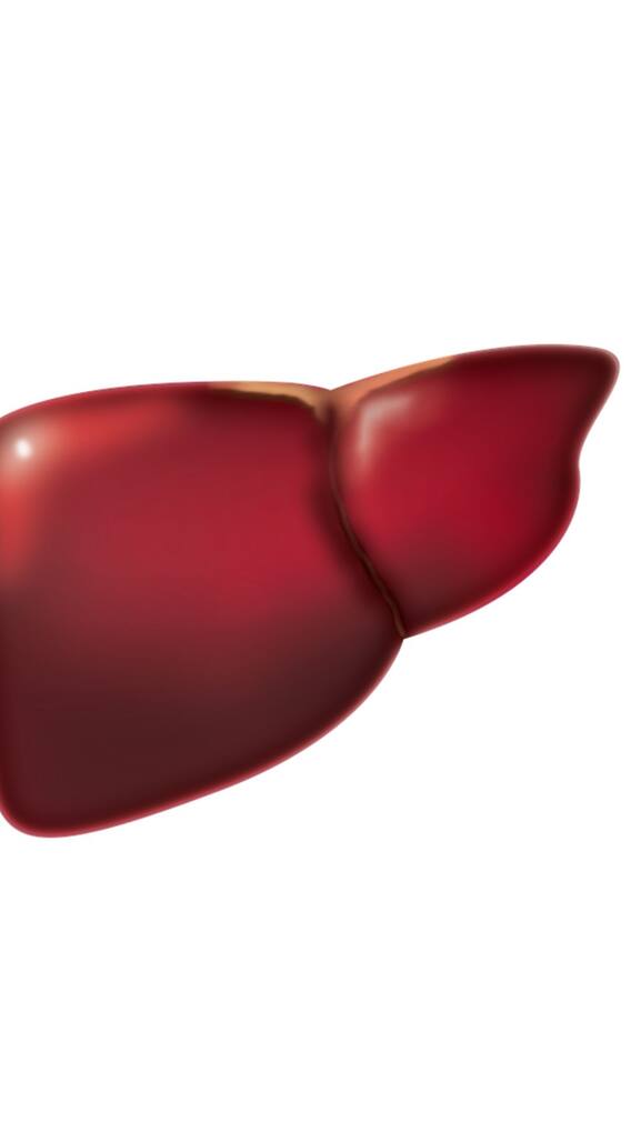 உங்கள் கல்லீரலின் ஆரோக்கியத்தை பாதுகாக்கும் சூப்பர் உணவுகள்!