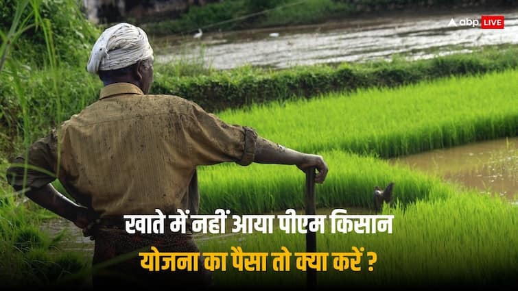 PM Kisan Yojana money released by PM Narendra Modi Farmers who not get installment dial helpline number to get money PM Kisan Yojana: खाते में नहीं आया पीएम किसान योजना का पैसा तो तुरंत डायल करें ये नंबर, हो जाएगा समाधान 