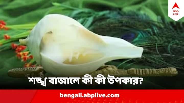 Conch In Puja : পুরাণ অনুসারে, শঙ্খ হল সেই ১৪ টি রত্নের মধ্যে একটি যা সমুদ্র মন্থনে লব্ধ হয়।  বাস্তুশাস্ত্র অনুসারে, শঙ্খ নাদে চারপাশ থেকে নেতিবাচক শক্তি দূর হয়।