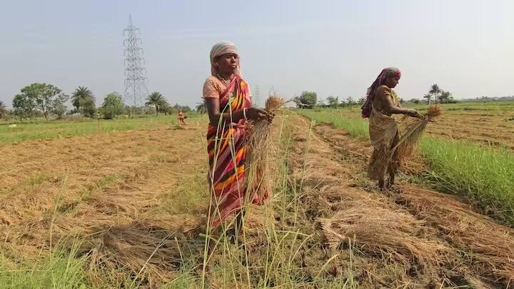 પીએમ કિસાન યોજના હેઠળ અત્યાર સુધીમાં 15 હપ્તા બહાર પાડવામાં આવ્યા છે. હવે ખેડૂત ભાઈઓ 16મા હપ્તાની રાહ જોઈ રહ્યા છે.