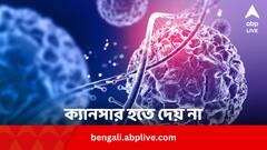 পেটের ভাল জীবাণুই ঠেকাতে পারে ক্যানসার, কীভাবে ?