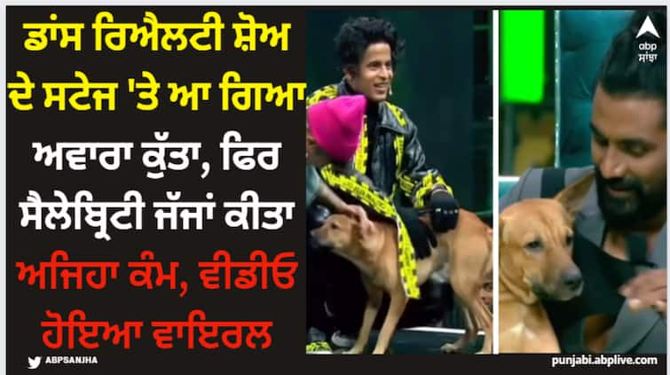 street dog lands on dance plus pro dancing reality show watch judges reaction in viral video Dance Plus Pro: ਡਾਂਸ ਰਿਐਲਟੀ ਸ਼ੋਅ ਦੇ ਸਟੇਜ 'ਤੇ ਆ ਗਿਆ ਅਵਾਰਾ ਕੁੱਤਾ, ਫਿਰ ਸੈਲੇਬ੍ਰਿਟੀ ਜੱਜਾਂ ਕੀਤਾ ਅਜਿਹਾ ਕੰਮ, ਵੀਡੀਓ ਹੋਇਆ ਵਾਇਰਲ