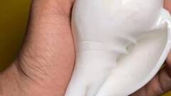 Sankha In Puja : সন্ধেয় শাঁখের আওয়াজেই আসবে সৌভাগ্য, কোথায় কীভাবে রাখবেন শাঁখ?