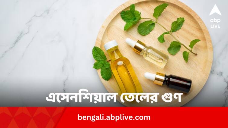 Five Best Essential Oils For Headache Stress Migraine Relief Essential Oil Benefits: স্ট্রেস, মাথা ব্যথা কমায় ৫ এসেনশিয়াল তেল, কতক্ষণ মালিশ করলে সেরা ফল ?