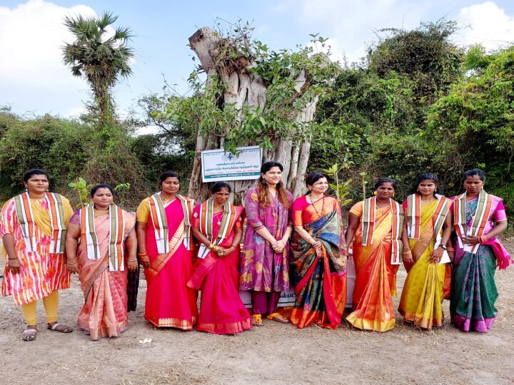 மறுபிறவி எடுத்த ஆலமரம்....கேக் வெட்டி கொண்டாடிய சௌமியா அன்புமணி..!