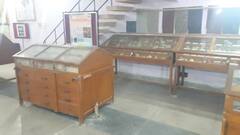 Rajasthan News: जोधपुर में है पत्थरों का अनूठा म्यूजियम, चट्टानों और खनिज के सेंपल हैं मौजूद, देखें तस्वीरें