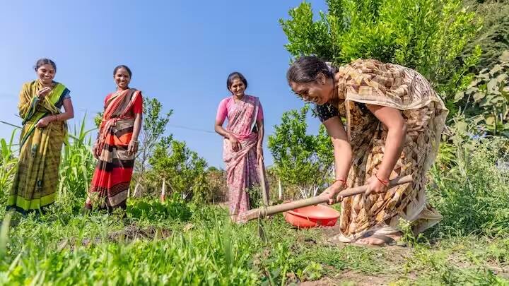 યોજના દ્વારા DBT દ્વારા ખેડૂતોના ખાતામાં પૈસા મોકલવામાં આવે છે.