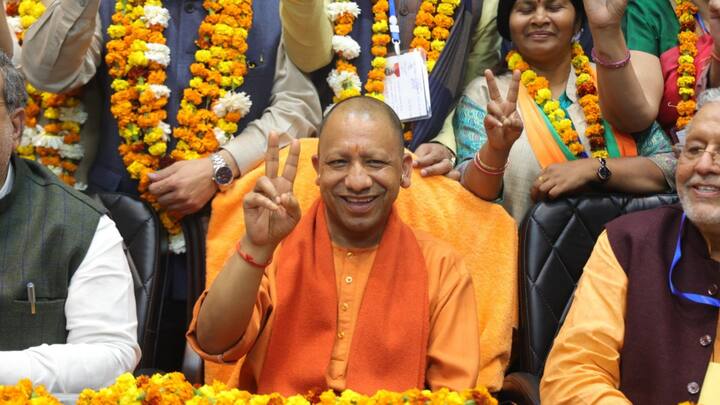 BJP attained a big victory in the Rajya Sabha elections as it bagged 8 seats in UP on February 27. (Source: PTI)