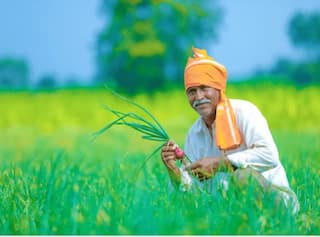 PM Kisan Yojana: ખાતામાં નથી આવી PM કિશાન યોજનાની રકમ, તો આ નંબર પર ડાયલ કરી મેળવો સમાધાન