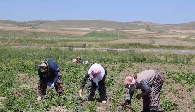 દેશભરના કરોડો ખેડૂતો લાંબા સમયથી પીએમ કિસાન યોજનાના 16મા હપ્તાની રાહ જોઈ રહ્યા હતા.